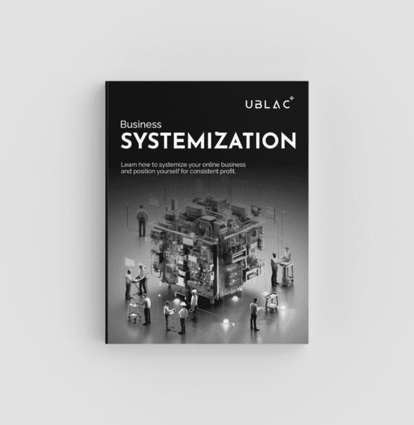 Business Systemization